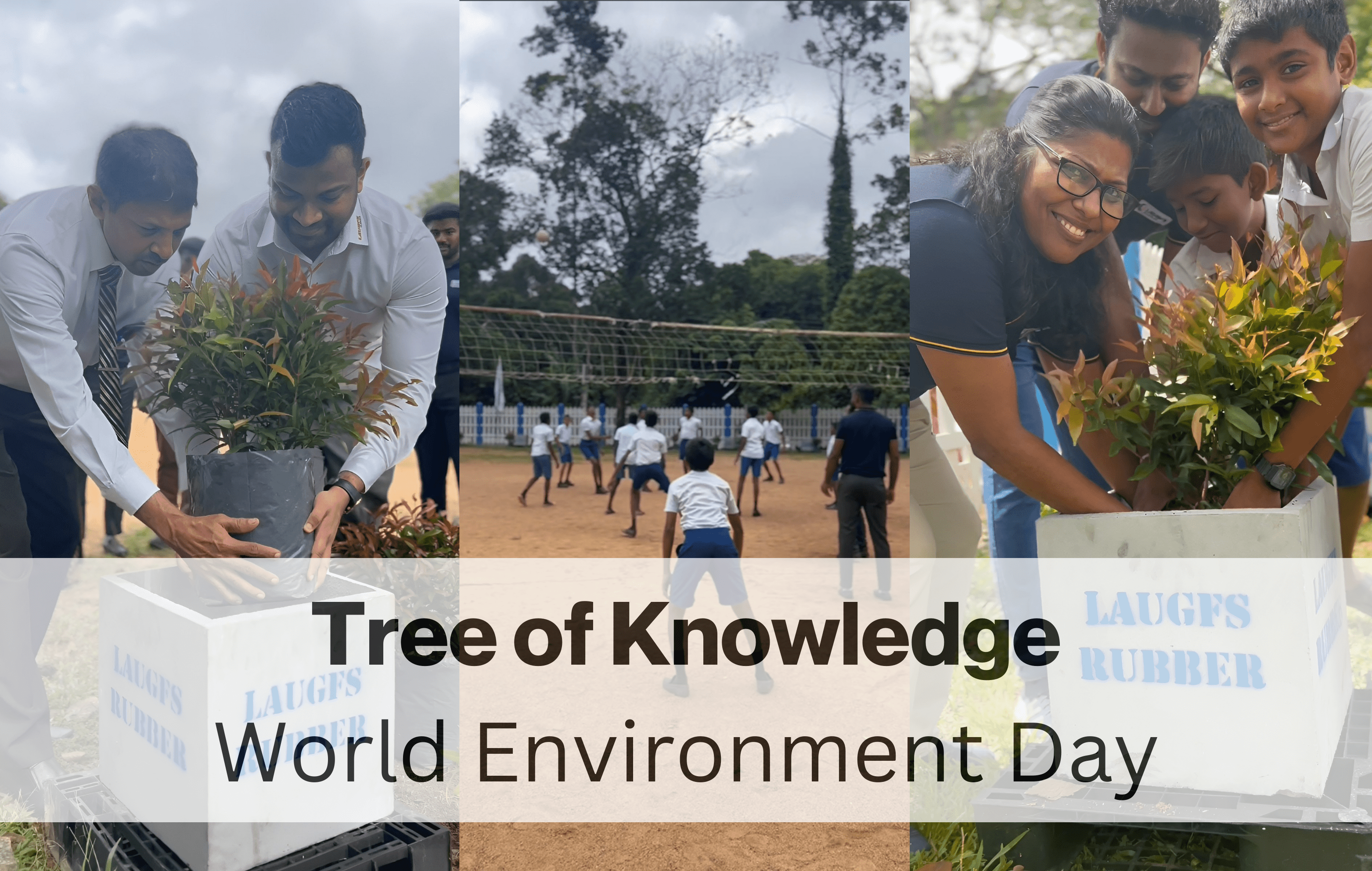 Tree of Knowledge – Cultivating Trees, Empowering Tomorrow
